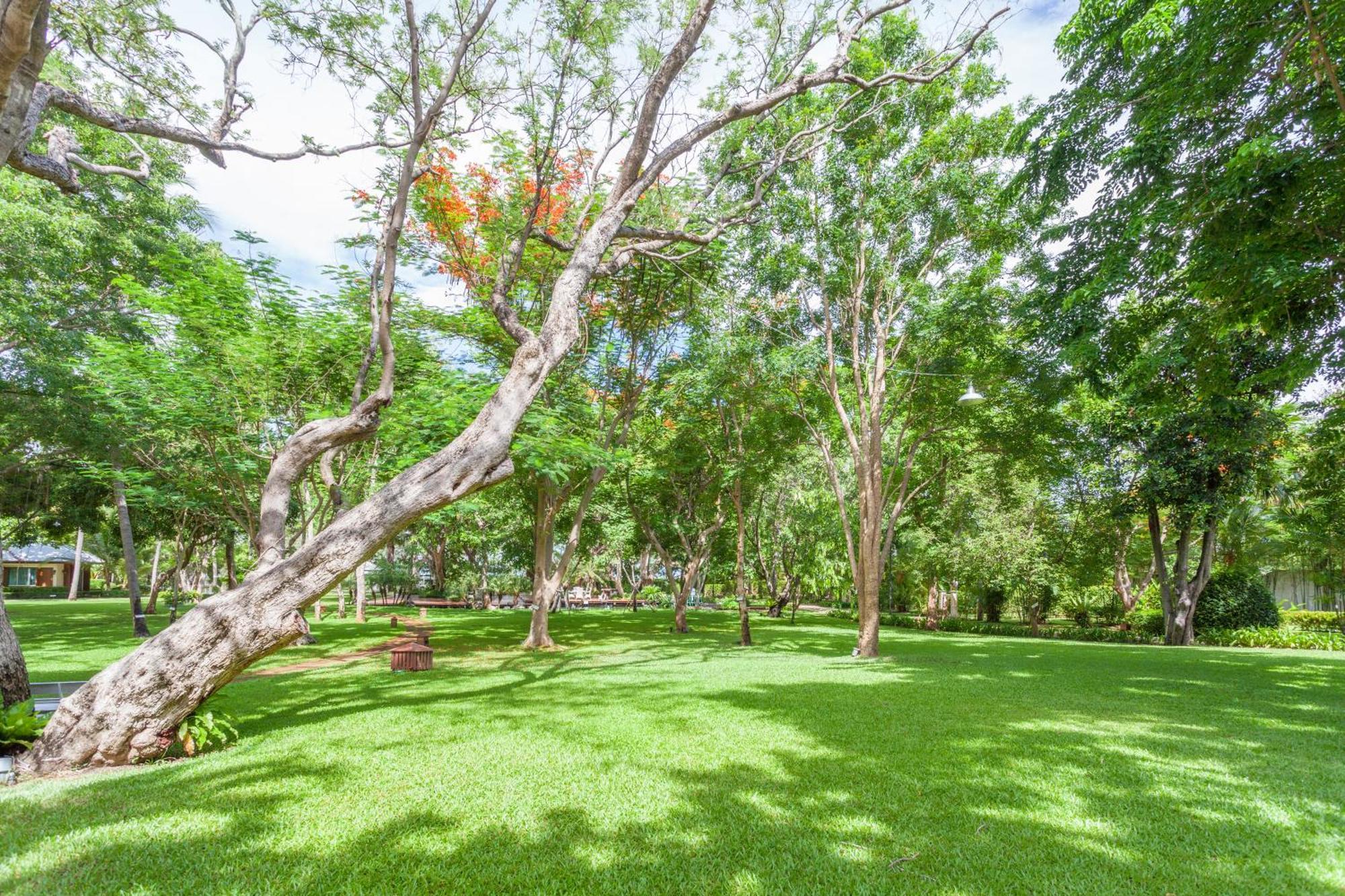 Raya Resort Beach Front - The Most Green Resort In Cha-Am Bagian luar foto